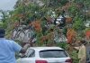 Tree Crashes on Vehicles at Port of Spain General Hospital, Two Safely Rescued