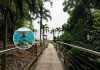 Macqueripe Bay Reopens: Snorkeler Spots Rare Eagle Ray