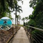 Macqueripe Bay Reopens: Snorkeler Spots Rare Eagle Ray