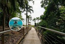 Macqueripe Bay Reopens: Snorkeler Spots Rare Eagle Ray
