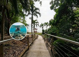 Macqueripe Bay Reopens: Snorkeler Spots Rare Eagle Ray