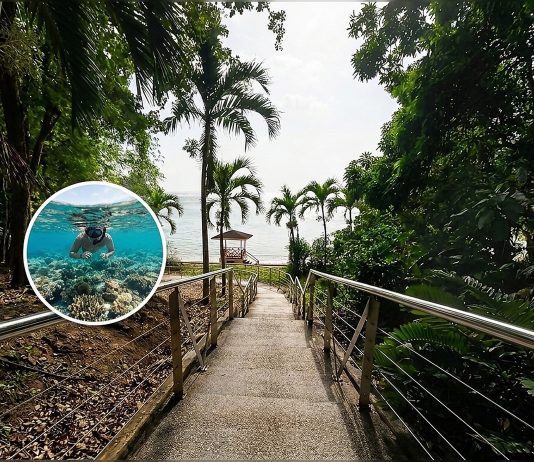 Macqueripe Bay Reopens: Snorkeler Spots Rare Eagle Ray