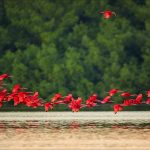 Trinidad and Tobago Teams Up with UNDP to Tackle Climate Change