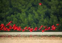 Trinidad and Tobago Teams Up with UNDP to Tackle Climate Change