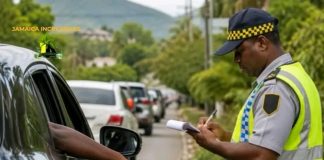 Jamaica to Implement Stricter Measures and Penalties Against Motorists Littering from Vehicles