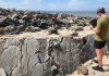Dramatic 20ft Uplift at Galfa Point: Geologists Investigate Sudden Beach Elevation