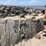 Dramatic 20ft Uplift at Galfa Point: Geologists Investigate Sudden Beach Elevation