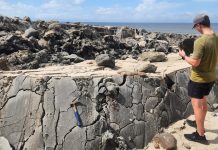 Dramatic 20ft Uplift at Galfa Point: Geologists Investigate Sudden Beach Elevation