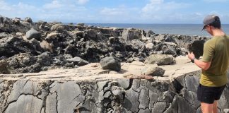 Dramatic 20ft Uplift at Galfa Point: Geologists Investigate Sudden Beach Elevation