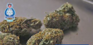 St. Augustine Man Arrested in Drug Raid, Ammunition Seized in Cunipia; Valencia Man Arrested for Assault