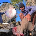Stingray became unexpected meal during Wilderness Man eight-day survival challenge.