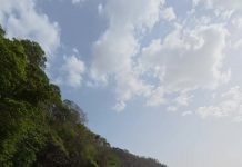 MacReef Beach Reopens: Snorkeling Adventures Await!