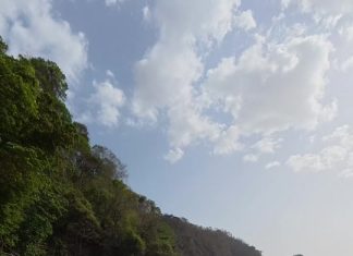 MacReef Beach Reopens: Snorkeling Adventures Await!