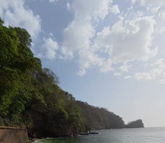 MacReef Beach Reopens: Snorkeling Adventures Await!