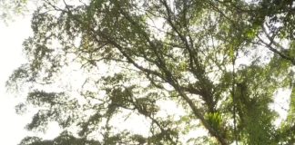 Ten Years Without Water: Rural Trinidad Residents Deserve Better