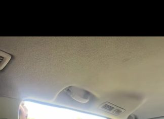 Taxi Driver Abandons Passenger on Highway, Sparks Concerns