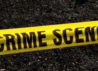 Armed Gang Targets Expats in Coordinated Home Invasions in Mayaro
