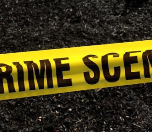 Armed Gang Targets Expats in Coordinated Home Invasions in Mayaro