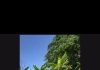 MP Keith Scotland Shares Appreciation of Trinidad and Tobago’s Countryside