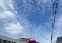Exploring the PTSC: Trinidad’s Affordable Public Transport Gem