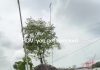Motorist Questions TTPS Wrecking Process in 2026