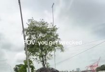 Motorist Questions TTPS Wrecking Process in 2026