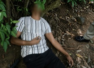 Police Investigate Apparent Suicide of Officer Found Dead in Wooded Area with Firearm
