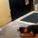 Person Killed in New Settlement, Chaguanas; Police Investigate Limited Details