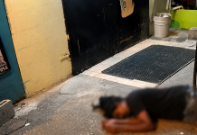 Person Killed in New Settlement, Chaguanas; Police Investigate Limited Details