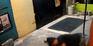 Person Killed in New Settlement, Chaguanas; Police Investigate Limited Details
