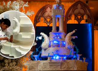Michelle Sohan’s Fountain-Inspired Wedding Cake Captivates Online