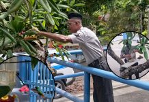 Bird feeding officer reminds public kindness comes in many unexpected forms.