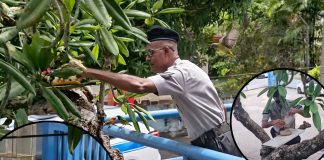 Bird feeding officer reminds public kindness comes in many unexpected forms.
