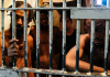 Trinidad’s Prisons Face Crisis as Budget Constraints Bite Hard