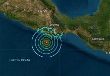 Magnitude 7.3 Earthquake Strikes Mexico, Tsunami Warning Issued for Central America