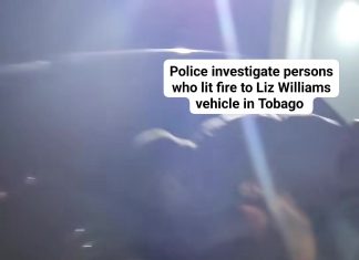 Police Investigate Arson Attack on Liz Williams’ Vehicle in Tobago