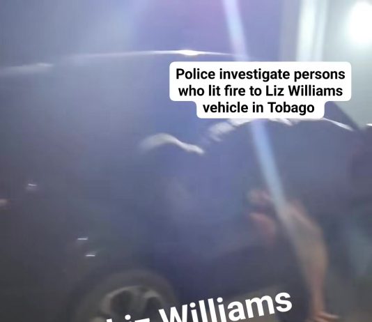 Police Investigate Arson Attack on Liz Williams’ Vehicle in Tobago