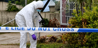 Santa Cruz Tragedy: Man Shot Dead After Violent Hammer Altercation