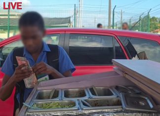 Schoolboy Allegedly Caught Taking Cash During Vendor’s TikTok Live