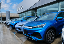 BYD Draws Line Over Grey Market Vehicles In Trinidad And Tobago