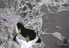 Lapses in Security: Inside the Intelligence Failures of Coup Attempts