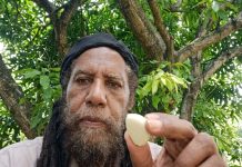 Trevor Sayers’ garlic advice sparks questions about medical evidence today.