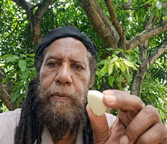 Trevor Sayers’ garlic advice sparks questions about medical evidence today.