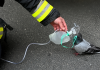 Firefighter Saves Pigeon with Oxygen After Car Fire in Heartwarming Rescue