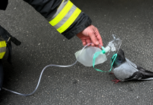 Firefighter Saves Pigeon with Oxygen After Car Fire in Heartwarming Rescue