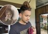 Rescuing Our Wildlife: Baby Pygmy Owl Spotted in Trinidad