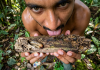 How Do Tobago’s Termites Taste Compared to Trinidad’s? Creator Experiment Revealed!