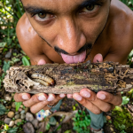 How Do Tobago’s Termites Taste Compared to Trinidad’s? Creator Experiment Revealed!