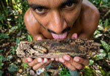 How Do Tobago’s Termites Taste Compared to Trinidad’s? Creator Experiment Revealed!