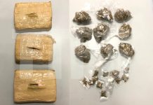 Two Men Arrested in Major Cannabis Trafficking Operation in Port of Spain